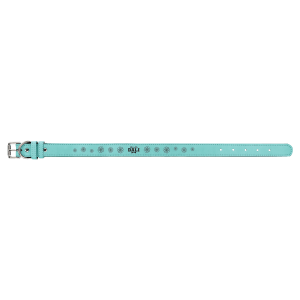 Large 23" x 1" Teal Laserable Leatherette Dog Collar